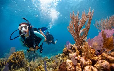 PADI Open Water Diver Bali